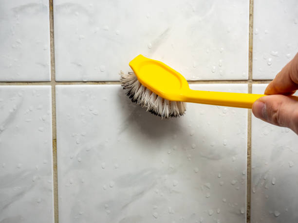 Water Damage Restoration in San Luis Obispo, CA