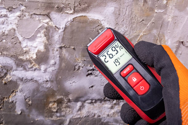 Best Fast Mold Removal  in San Luis Obispo, CA