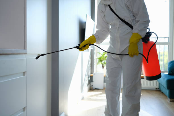 Best Mold Damage Repair  in San Luis Obispo, CA