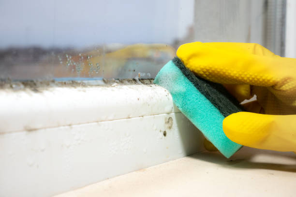 Best Crawl Space Mold Removal  in San Luis Obispo, CA